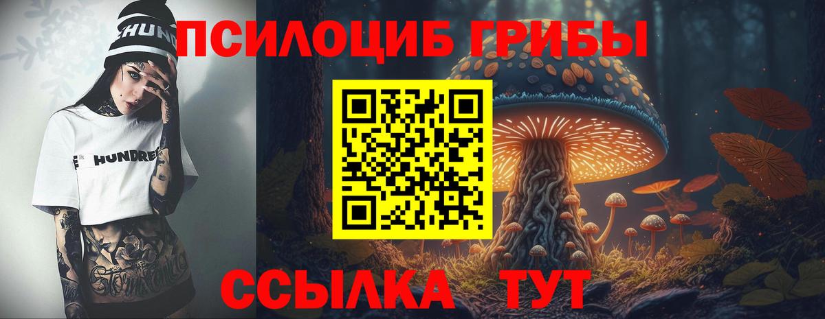 Галлюциногенные грибы MAGIC MUSHROOMS  Вход с VPN  где купить наркоту  Каменск-Уральский 